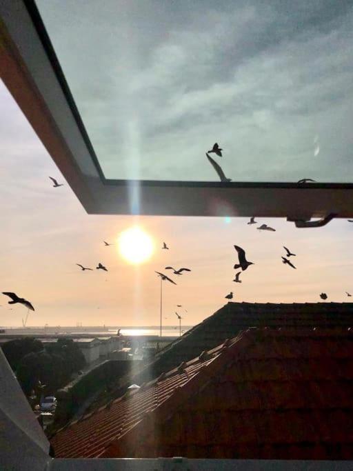 Lobo Do Mar Matosinhos Beach Loft ภายนอก รูปภาพ